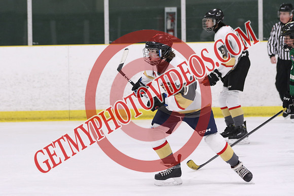 20260313-26780_6 20 pm - U15 - Lucan vs West Niagara - MCU