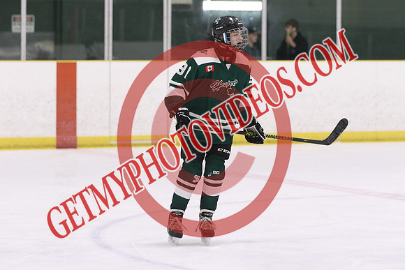 20260313-19948_4 10 pm - U15 - Hespeler vs Sturgeon Lake - MCU