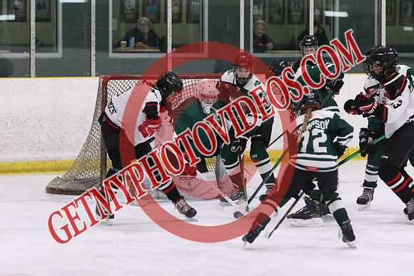 20260313-20241_4 10 pm - U15 - Hespeler vs Sturgeon Lake - MCU
