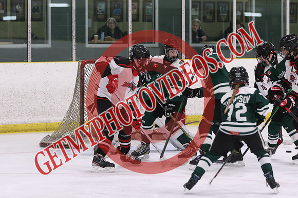 20260313-20246_4 10 pm - U15 - Hespeler vs Sturgeon Lake - MCU
