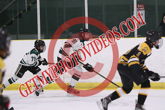 20260314-35304_8 30 am - U15 - Beeton vs Hespeler - MCU