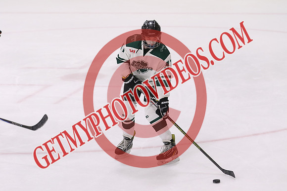 20260314-35586_8 30 am - U15 - Beeton vs Hespeler - MCU
