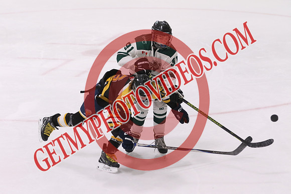 20260314-35593_8 30 am - U15 - Beeton vs Hespeler - MCU