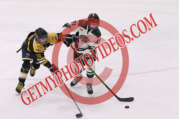 20260314-35590_8 30 am - U15 - Beeton vs Hespeler - MCU