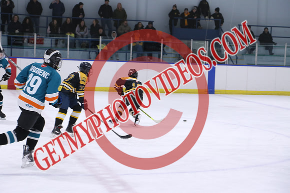 20260313-1989