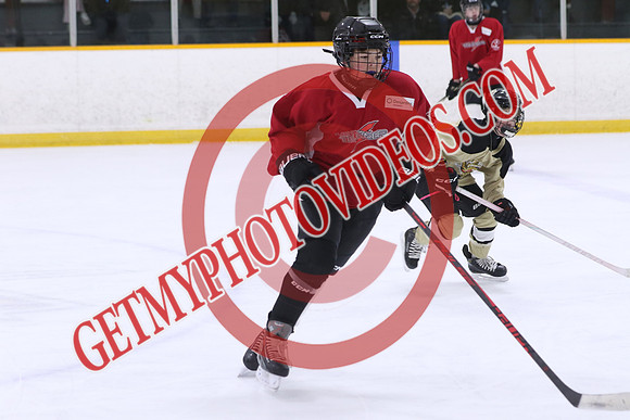 20260319-122971_12 10 PM - U15 - QW Golden Hawks Little Caesars vs Clarington Thunder Red - Duncan Pad B