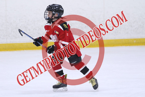 20260318-69845_9 30 AM - U11 - Stirling Blues U11 LL2 vs Quinte West Custom Promotions - Duncan Pad B