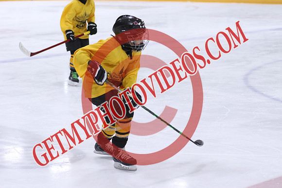 20260317-30714_10 00 AM - U9 - The 6-7s vs Gananoque Islanders U9 LL2 Duncan McDonald Pad A