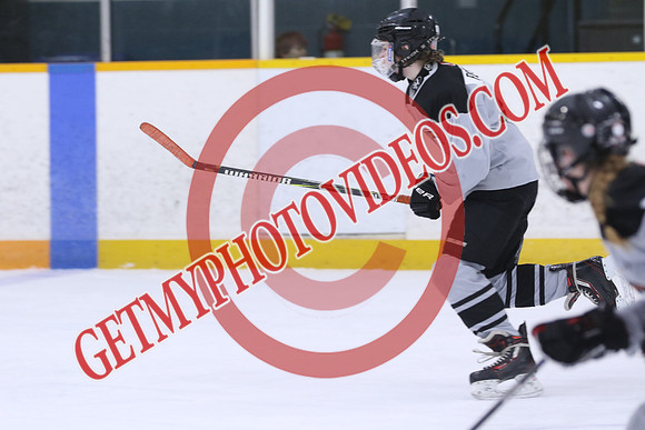 20260319-118539_11 00 AM - U15 - QWt Golden Hawks SV Plumbing n Heating vs Frontenac Flyers Duncan Pad B