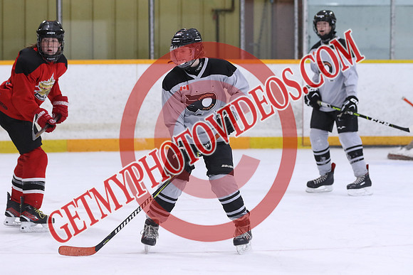 20260319-118588_11 00 AM - U15 - QWt Golden Hawks SV Plumbing n Heating vs Frontenac Flyers Duncan Pad B