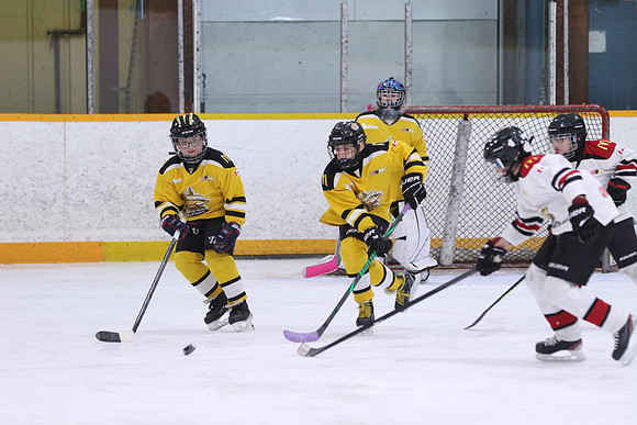 7Z7A1334_10 30 AM - U11 - Aquafix Basement Waterproofing vs Trenton Sportsfield Coop - Duncan Pad B