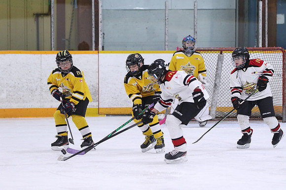 7Z7A1336_10 30 AM - U11 - Aquafix Basement Waterproofing vs Trenton Sportsfield Coop - Duncan Pad B