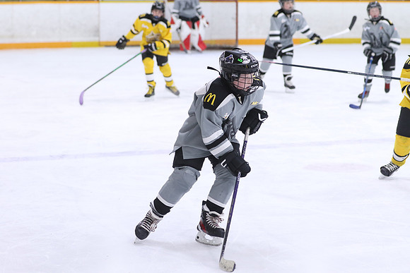 20260318-100014_4 30 PM - U11- Napanee Stars Grey vs Aquafix Basement Waterproofing - Duncan McDonald Pad B