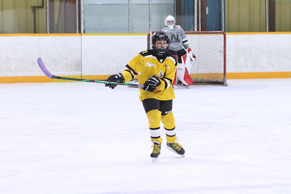 20260318-100016_4 30 PM - U11- Napanee Stars Grey vs Aquafix Basement Waterproofing - Duncan McDonald Pad B