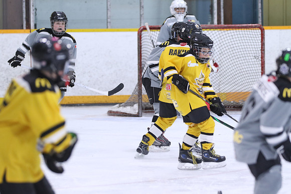 20260318-100000_4 30 PM - U11- Napanee Stars Grey vs Aquafix Basement Waterproofing - Duncan McDonald Pad B