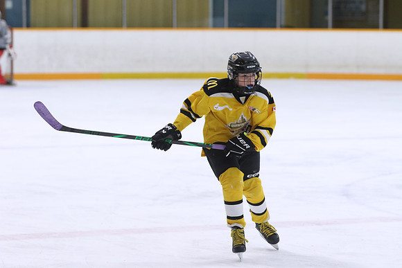 20260318-100782_4 30 PM - U11- Napanee Stars Grey vs Aquafix Basement Waterproofing - Duncan McDonald Pad B