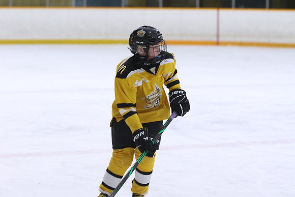 20260318-100787_4 30 PM - U11- Napanee Stars Grey vs Aquafix Basement Waterproofing - Duncan McDonald Pad B