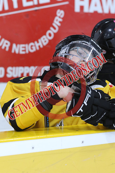 20260319-116628_10 30 AM - U11 - Aquafix Basement Waterproofing vs atoMc River Rats Hockey Ltd - Duncan Pad A