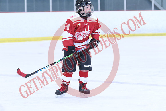 7Z7A8309_8 00 am - Orangeville Flyers Yellow vs Schomberg Red Wings