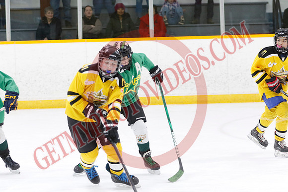 _63A4080_9 00 am - U11 - Millbrooks Stars vs Quite West World Elite Hockey Academy - Pad B