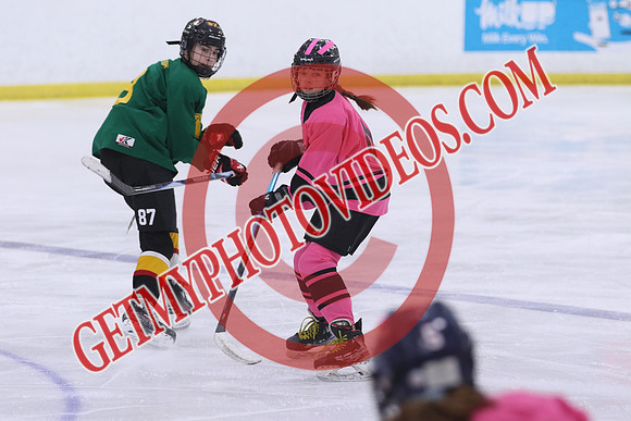 7Z7A6484_12 30 pm - U13 - Average Jills vs Jr Oil Kings - CUPE