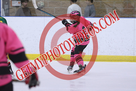 7Z7A7000_12 30 pm - U13 - Average Jills vs Jr Oil Kings - CUPE