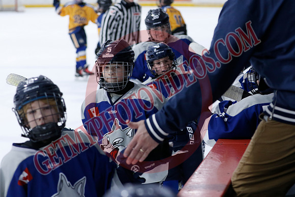 _63A0312_10 15 am - U12A - Collingwood Jr Blues vs Sudbury Wolves - NewRoads
