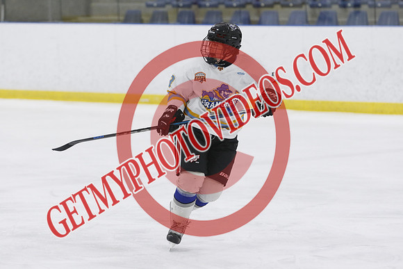 20260508-0880_12 00 pm - U18 - RBA Hockey vs RELM Wranglers Gold- SELK