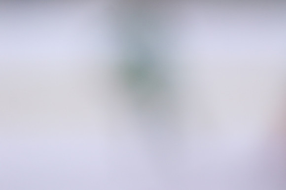 20260502-38133