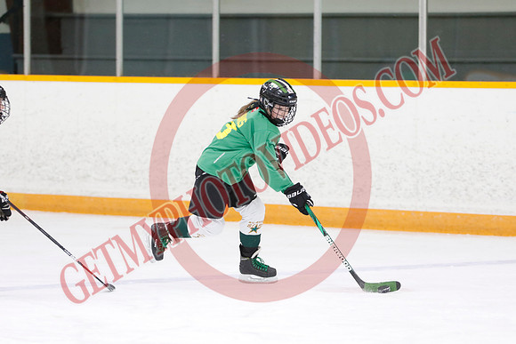 _63A4058_9 00 am - U11 - Millbrooks Stars vs Quite West World Elite Hockey Academy - Pad B