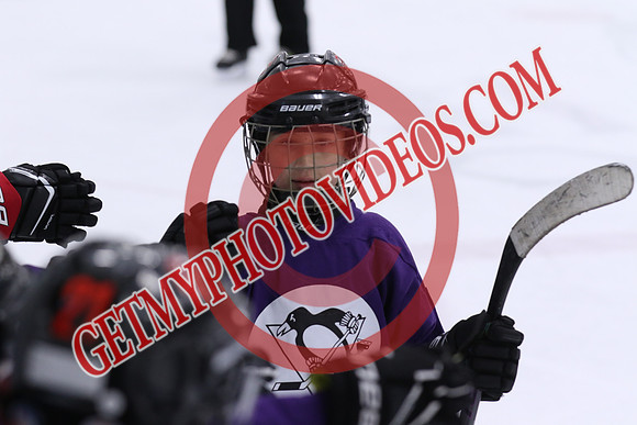 7Z7A1649
