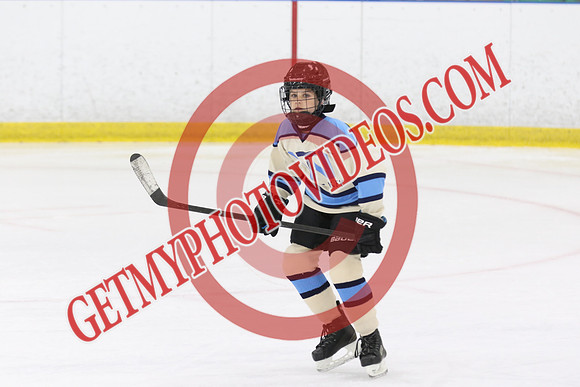 1C2A6535