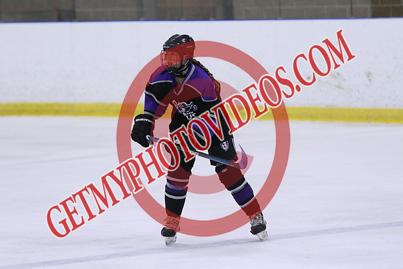 7Z7A4739_12 45 pm - U18 - TW Hockey vs Tony Graham Lexus - MNP
