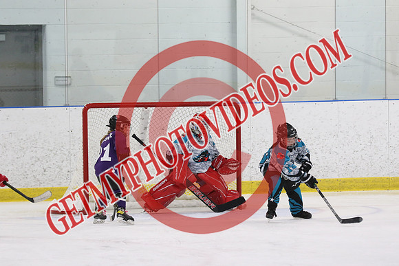 1C2A3334_9 00 am - U11 - Kanata Outlaws vs Purple Penguins - SELK