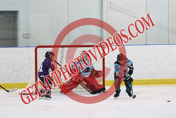 1C2A3335_9 00 am - U11 - Kanata Outlaws vs Purple Penguins - SELK