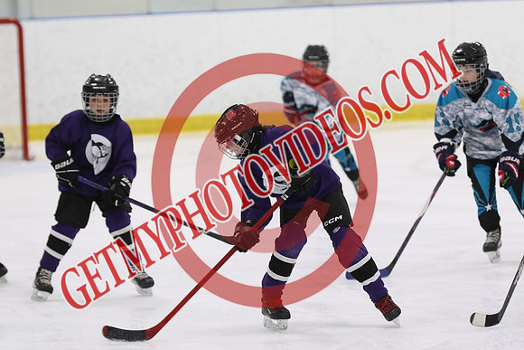 1C2A3359_9 00 am - U11 - Kanata Outlaws vs Purple Penguins - SELK