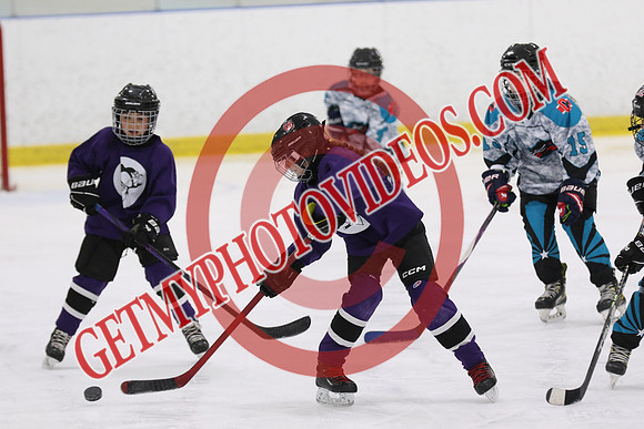 1C2A3360_9 00 am - U11 - Kanata Outlaws vs Purple Penguins - SELK
