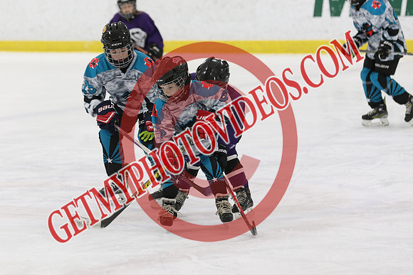 1C2A3370_9 00 am - U11 - Kanata Outlaws vs Purple Penguins - SELK