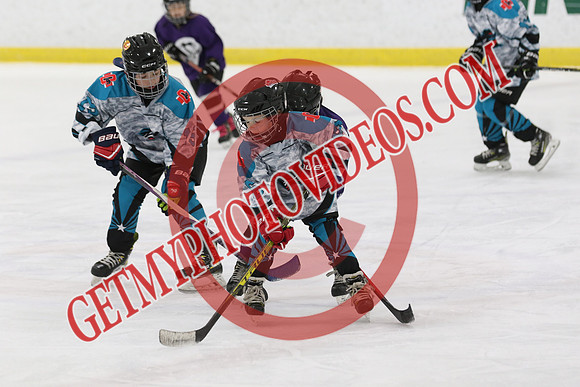 1C2A3371_9 00 am - U11 - Kanata Outlaws vs Purple Penguins - SELK