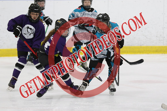 1C2A3800_9 00 am - U11 - Kanata Outlaws vs Purple Penguins - SELK