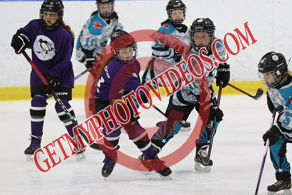 1C2A3802_9 00 am - U11 - Kanata Outlaws vs Purple Penguins - SELK