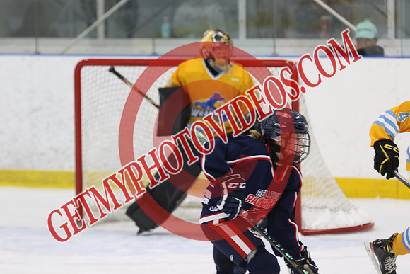 1C2A7615_9 30 am - U15 - RELM Lady Wranglers vs Belleville Panthers - DES