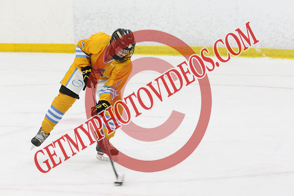 1C2A7639_9 30 am - U15 - RELM Lady Wranglers vs Belleville Panthers - DES