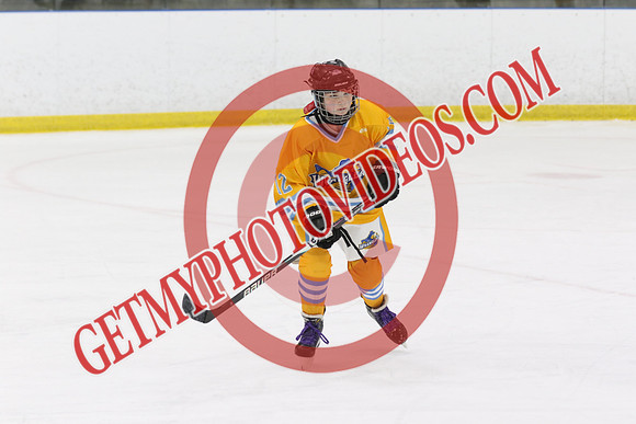 1C2A7754_9 30 am - U15 - RELM Lady Wranglers vs Belleville Panthers - DES