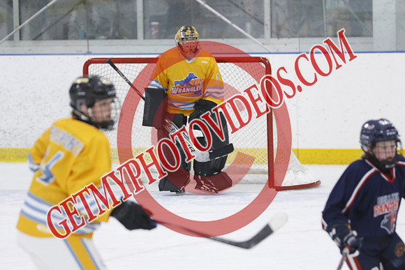 _63A0242_9 30 am - U15 - RELM Lady Wranglers vs Belleville Panthers - DES