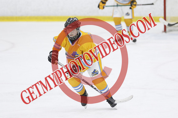 _63A9960_9 30 am - U15 - RELM Lady Wranglers vs Belleville Panthers - DES