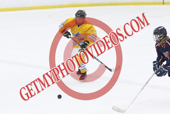 _63A9967_9 30 am - U15 - RELM Lady Wranglers vs Belleville Panthers - DES