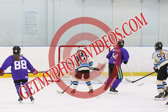 1C2A7030_6 10 pm - U13 - Northumberland Valkyries vs TW Hockey - DES
