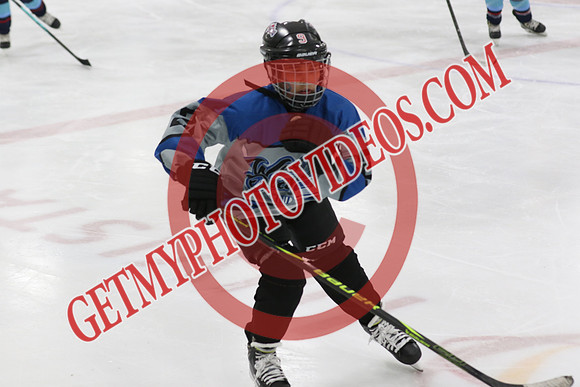1C2A4276_11 40 am - U11 - ColdAir Ice vs West Ottawa Thunder - MNP