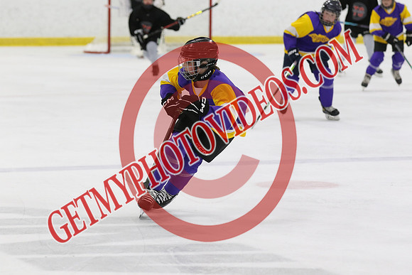 1C2A4387_5 15 pm - U13 - TS Development vs Young Queens - MNP